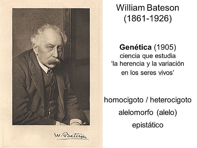 William Bateson