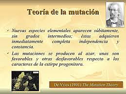 Se descubre la mutación