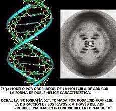 Realizan patrón de desifraccion de rayos X