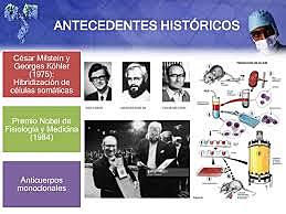 Descubrimiento de los anticuerpos.