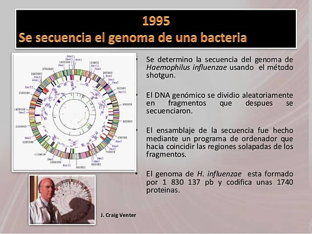 Secuencia completa del ADN de un organismo vivo