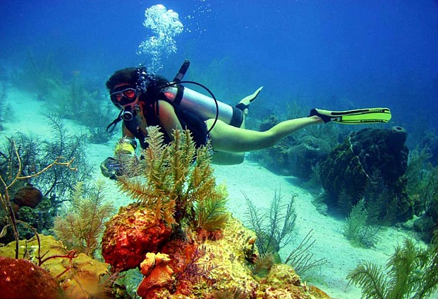 Reglamento para la prestación del servicio turístico de Buceo