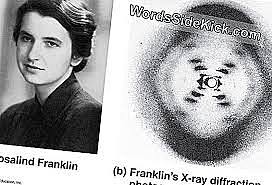 Rosalind Franklin