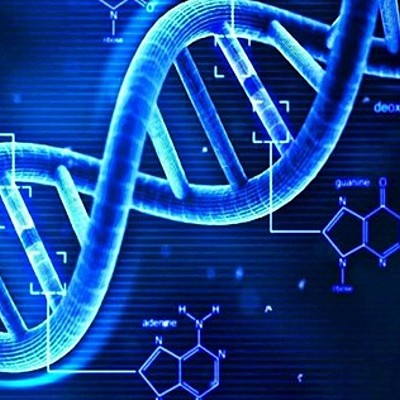 Timeline: Historia de la Genética Presentada por Leonor Elizabeth Flamenco de Quintanilla