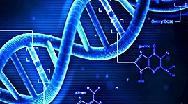 Timeline: Historia de la Genética Presentada por Leonor Elizabeth Flamenco de Quintanilla