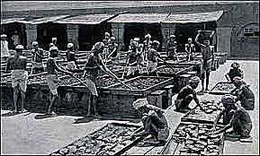 The east india company recieving the Zamindari rights in 3 villages of Bengal.