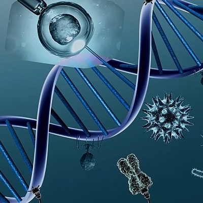 Timeline: Historia de la genetica(Sabina Delgado)