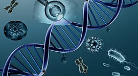 Timeline: Historia de la genetica(Sabina Delgado)