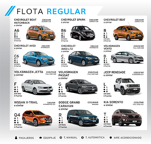 Reglamento de Arrendadoras de Autos