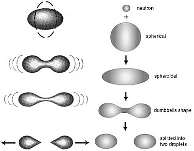 Discovery of Fission