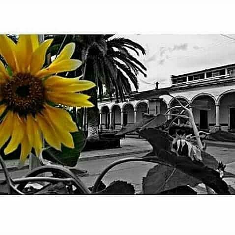 Entre a la escuela  Normal Rural "Justo Sierra Mendez"