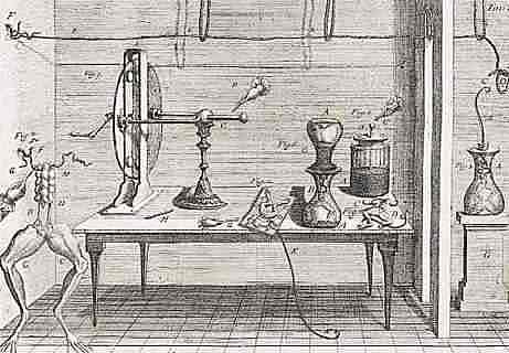 Chapter V  The English of Science