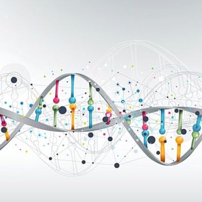 Timeline: HISTORIA DEL ADN 2