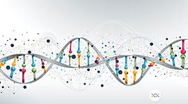 Timeline: HISTORIA DEL ADN 2