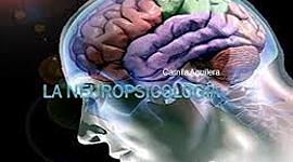 Timeline: Actividad 1 - La Neuropsicología en el tiempo  Ruth Esther Lozano y Diana Carrillo