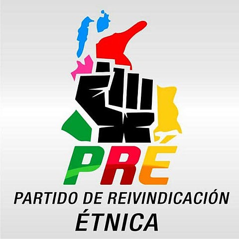 MI PASO COMO DIRECTOR NACIONAL DE UN PARTIDO.