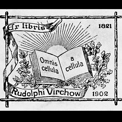 “Omnis cellula a cellula”