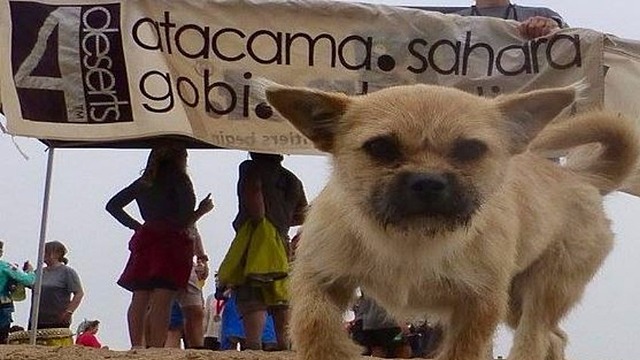 Dion travels to China