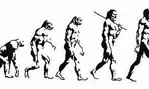 The Descent of Man, and Selection in Relation to Sex