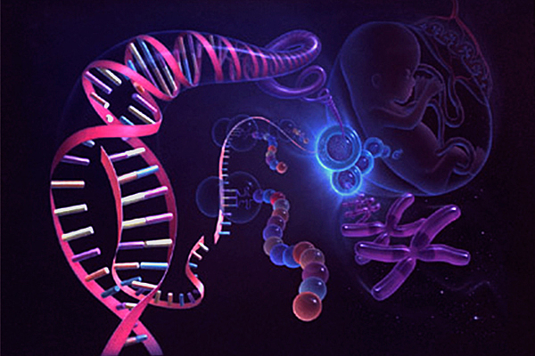 Finaliza el Proyecto Genoma Humano