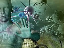 Terapia del cáncer mediante la regulación del sistema inmunitario