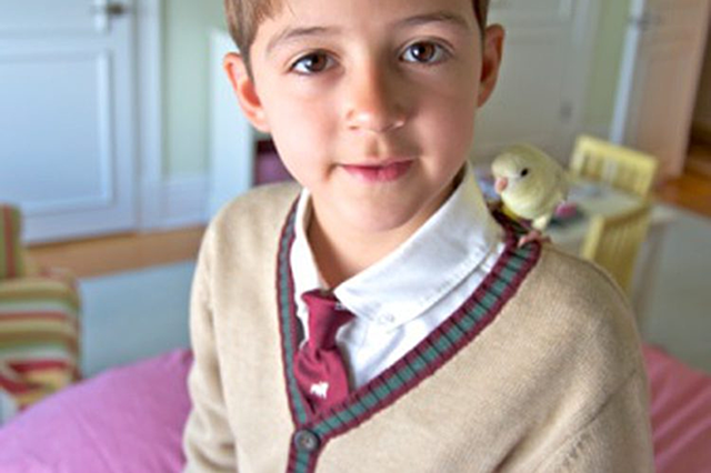 Quinto Primaria 2013