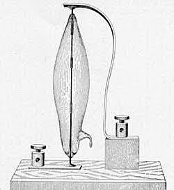 Prototype Lightbulb is Created