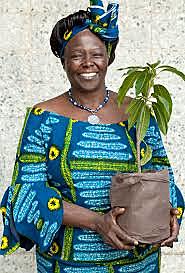 Wangari Maathai crea el Cinturón Verde de Kenia