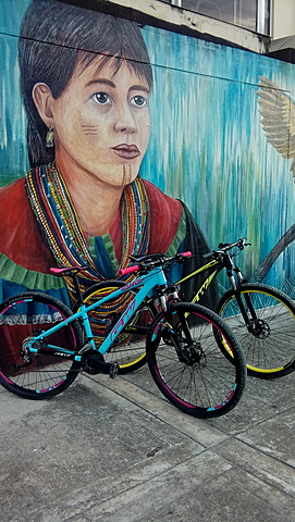 the bike an adventure