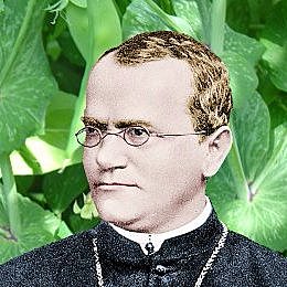 Descubrimientos de Gregor Mendel