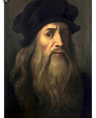 Estudios anatómicos