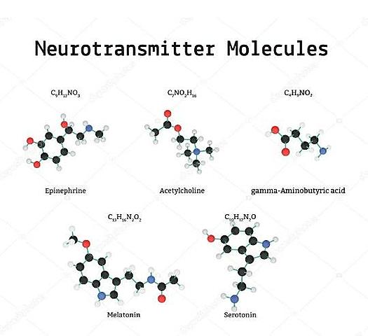 Molécula neurotransmisoras