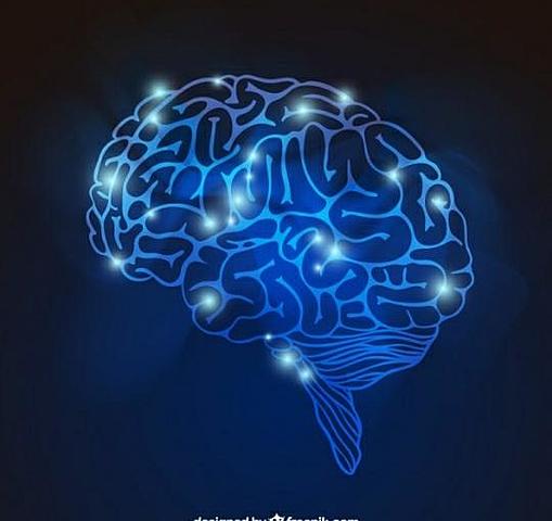 Propiedades electrofisiologicas