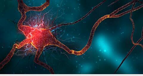 Neuronas de inteligencia