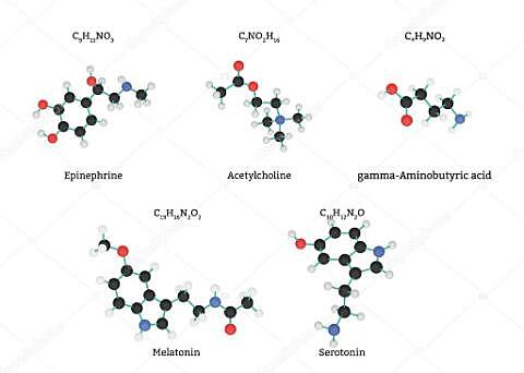 Molécula neurotransmisoras