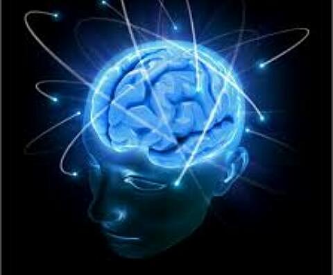 Propiedades electrofisiologicas