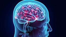 Timeline: HISTORIA DEL SISTEMA NERVIOSO (ERIKA MUÑOZ GOMEZ)