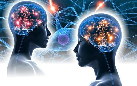 El cerebro regula las emociones