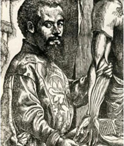 Ventrículos cerebrales sin espíritu