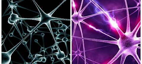 Neuronas de inteligencia