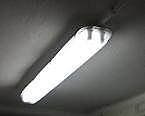 Fluorescent Lamp