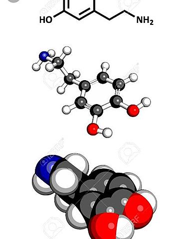 Molécula neurotransmisoras