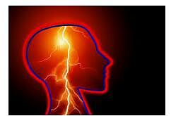 Propiedades electrofisiologicas