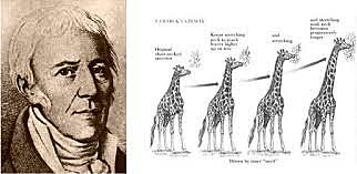 Teoría de la evolución basada en la modificación heredable de los caracteres