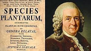 Nomenclatura binomial y clasificación taxonómica