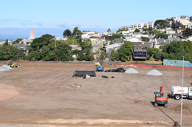 Field Project Week 4