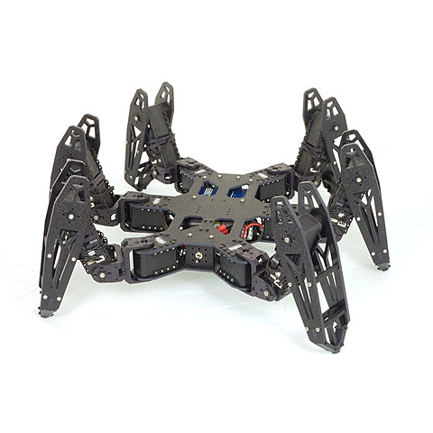 Robot Hexápodo