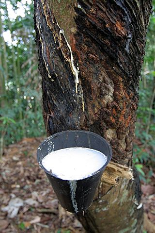 fabricación de hule