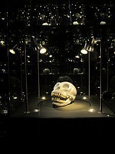 The Skull ; For the love of God