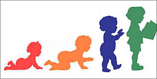 Proyectos e investigaciones